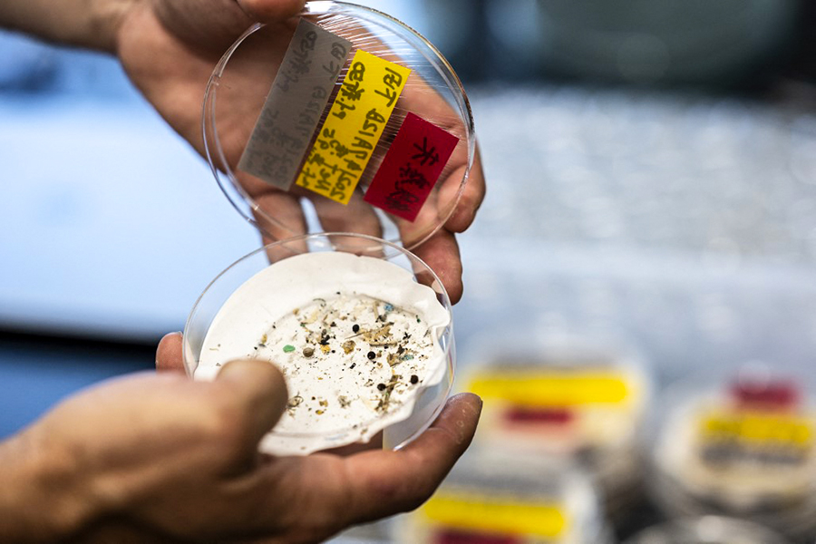 Microplastics have entered the human bloodstream