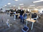 Bring your dogs to work, Canadian offices say as work from home ends