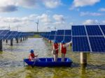 Renewable energy to grow to new record in 2022: IEA