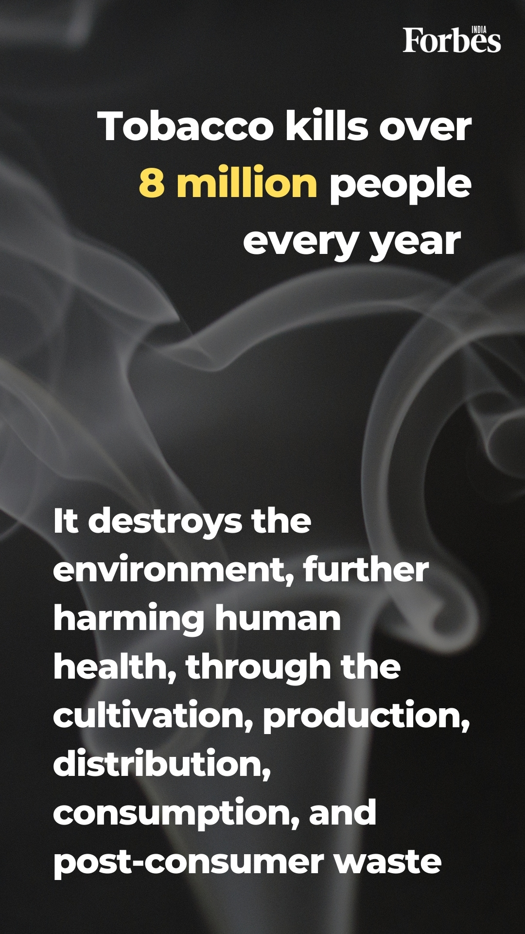 World No Tobacco Day: Tobacco kills over 8 million people every year