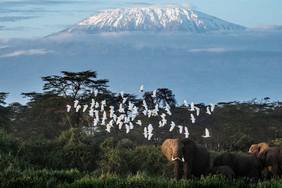 Yellowstone, Kilimanjaro glaciers among those set to vanish by 2050: UNESCO