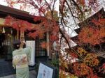 Momijigari: Japanese tradition of leaf hunting
