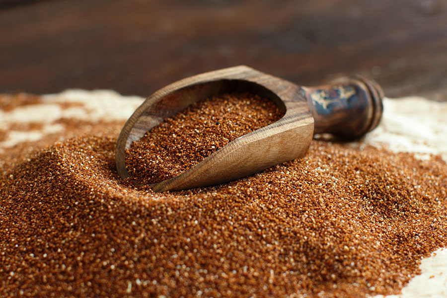 Teff, grain of the future, holds promise for feeding livestock and people