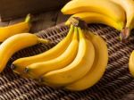How bananas are in danger from their own pandemic