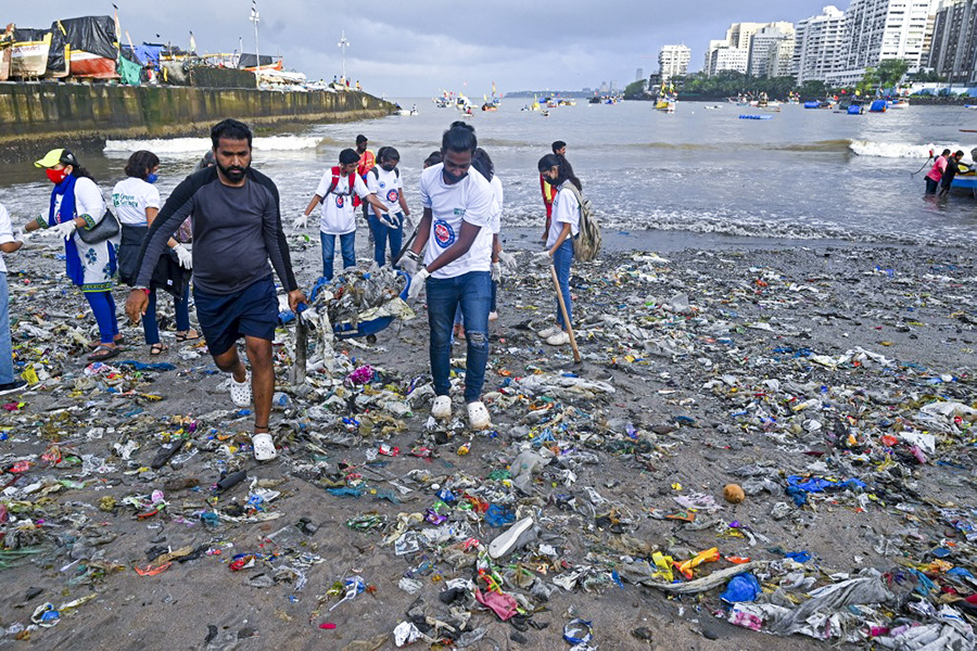 Photo of the day: International Coastal Clean-up Day