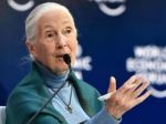 Climate change at 'point of no return': Jane Goodall