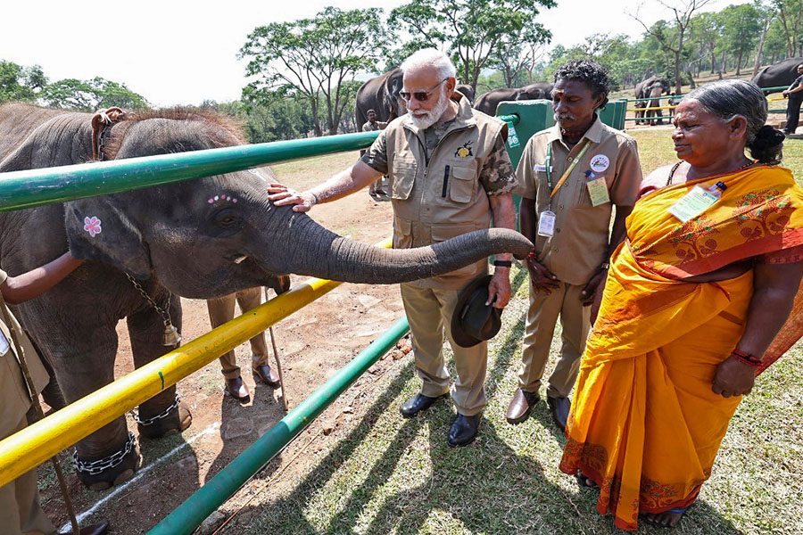 Photo of the day: With the elephant whisperers