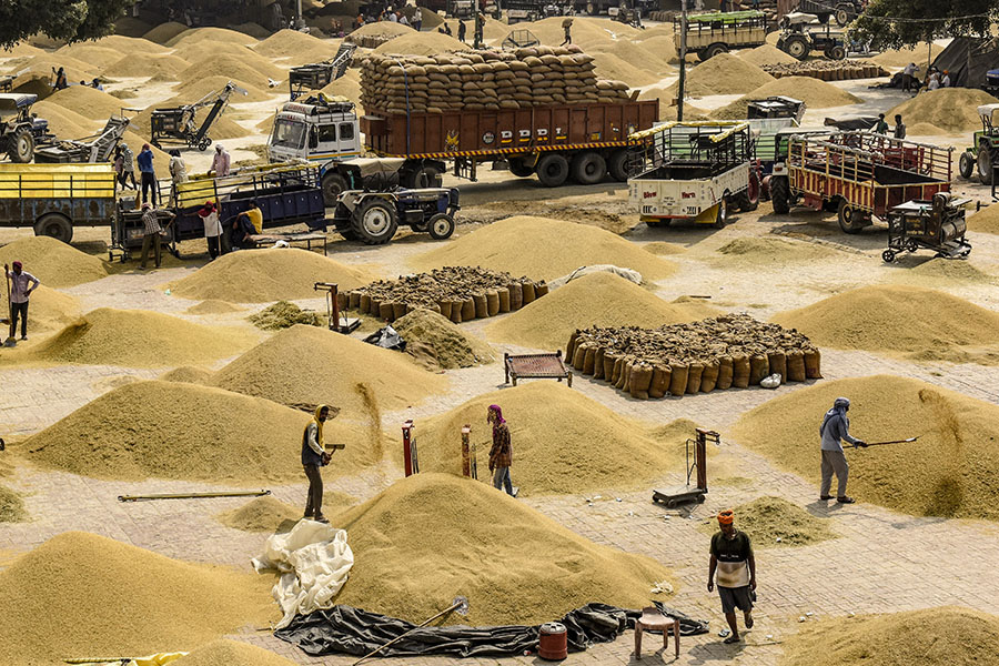 India's rice export ban leaves countries scrambling