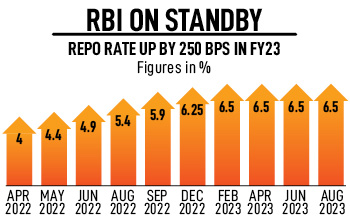 If price shocks persist, we have to act: RBI