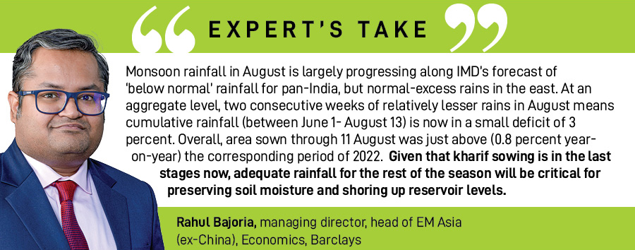 Rain watch for Aug 10-16: Monsoon pauses, kharif sowing nears final stages