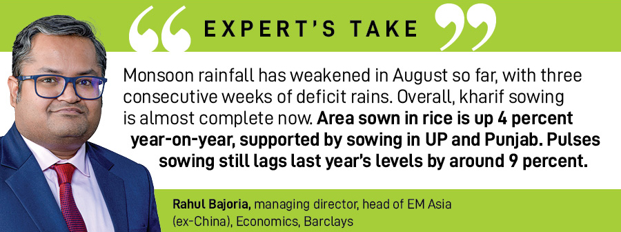 Rain watch for August 17-23 : Monsoon weakens, area sown for pulses lagging