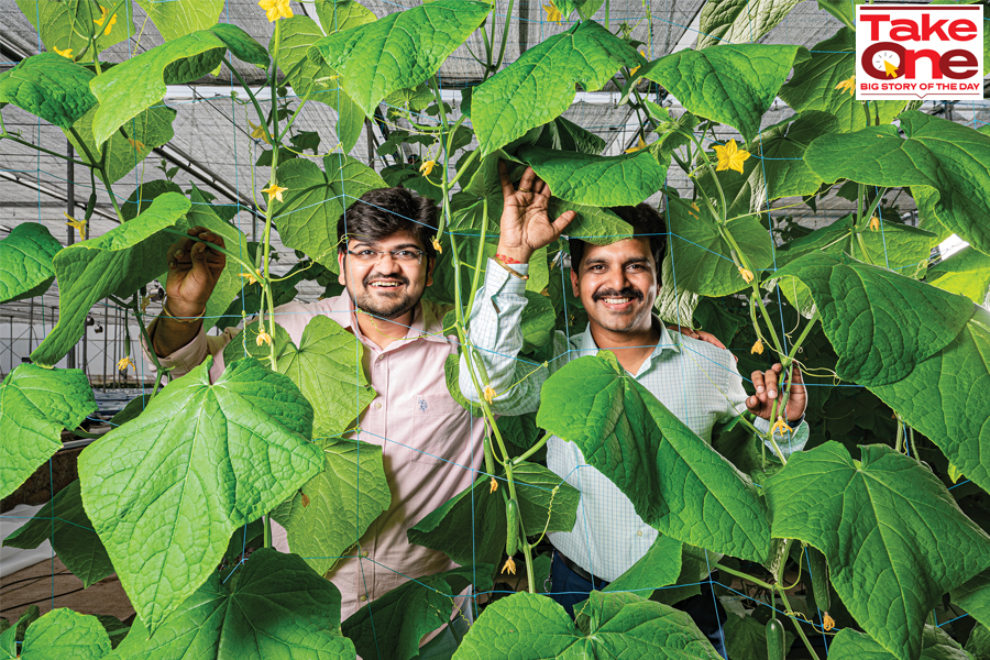 Hydroponics' coming of age: Tech-enabled ventures with an eye on profits, and investor interest