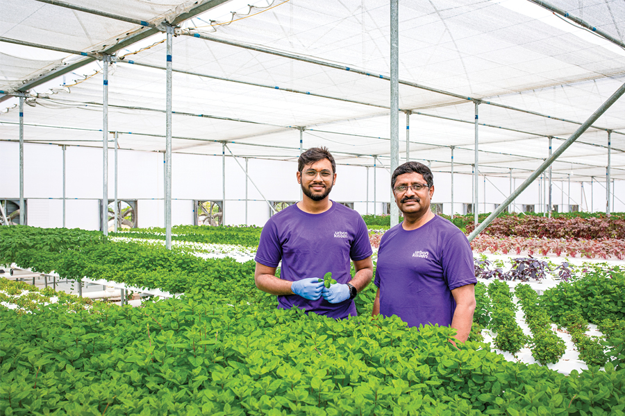 Hydroponics' coming of age: Tech-enabled ventures with an eye on profits, and investor interest