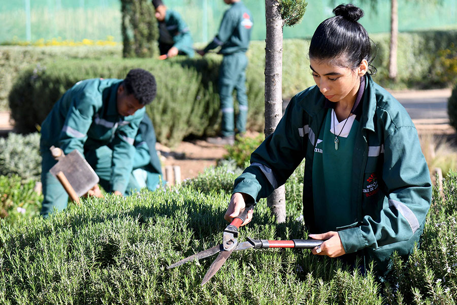 Morocco gardening school cultivates hope for marginalised youth