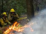 Fight fire with fire: Controlled burns stem California blazes