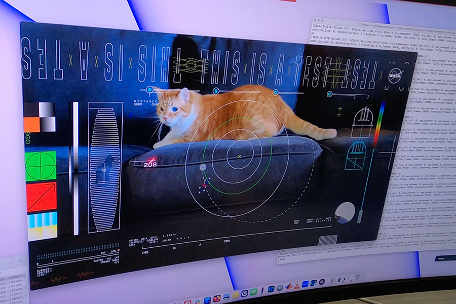 The feline frontier: NASA sends cat video from deep space