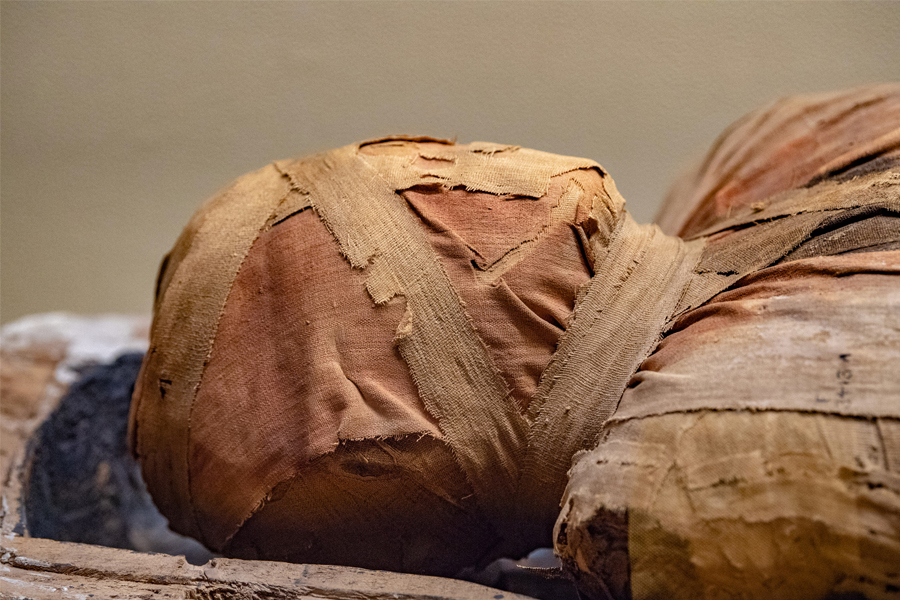 Museums are questioning the fate of mummies and other human remains in their collections