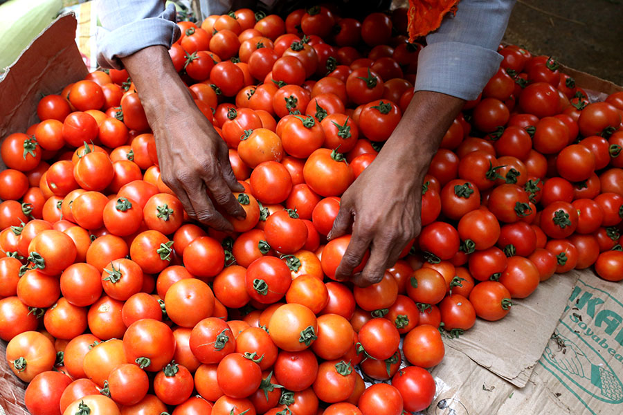 Explained: The reasons behind skyrocketing tomato prices