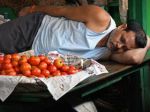 82% of Indian households not availing of government subsidies for tomatoes: Report
