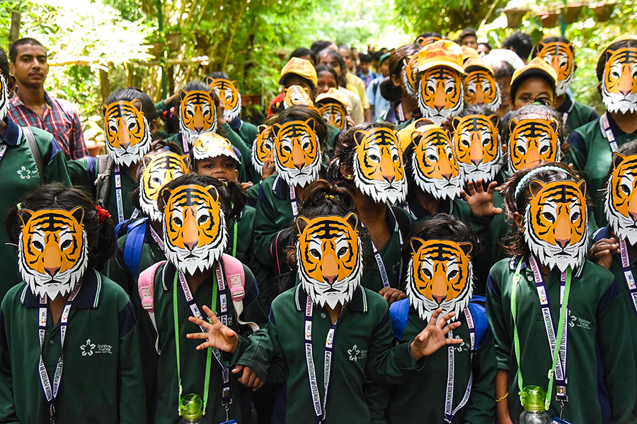 Photo of the day: International Tiger Day 2023
