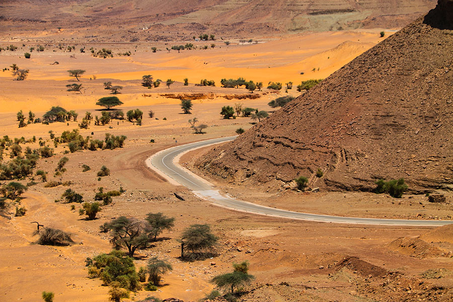 The Savannah Way to Route 66, here are world's best winding ways for an epic road trip