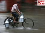Will monsoon sway milk prices in India?