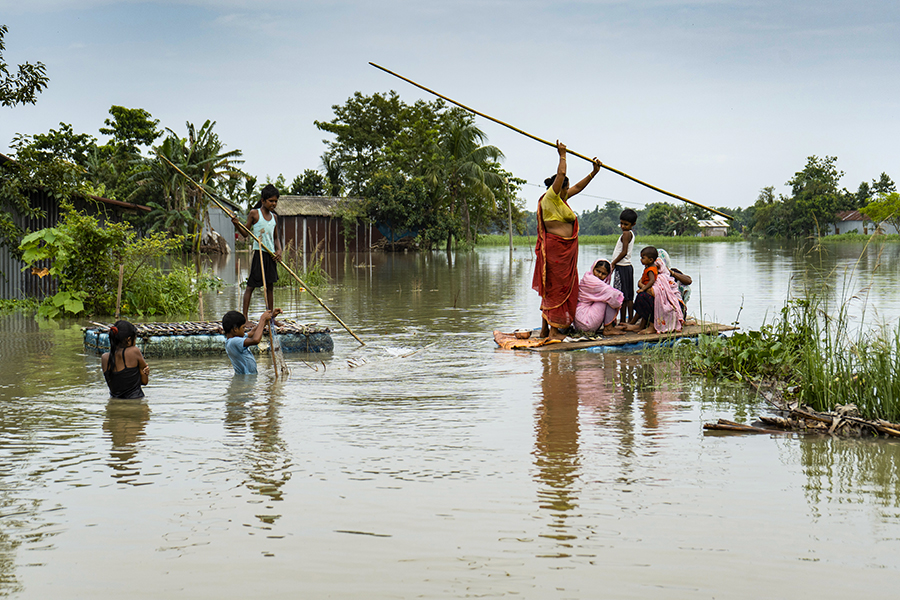Photo of the day: Surviving the floods
