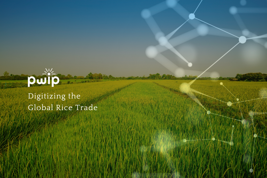 Digitizing the rice trade: PWIP's journey of transforming cross-border supply chain