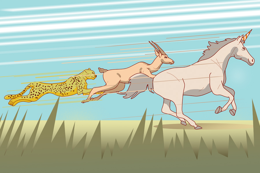 Unicorns, gazelles & cheetahs: A billion-dollar startup question