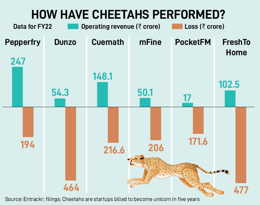 Unicorns, gazelles & cheetahs: A billion-dollar startup question