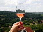 Rose wine market is evolving with 'new' producer countries like New Zealand and Hungary
