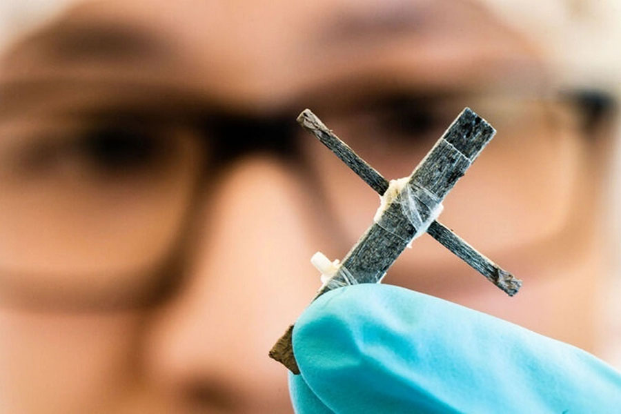 A transistor made of wood: Sign of a future revolution in materials?