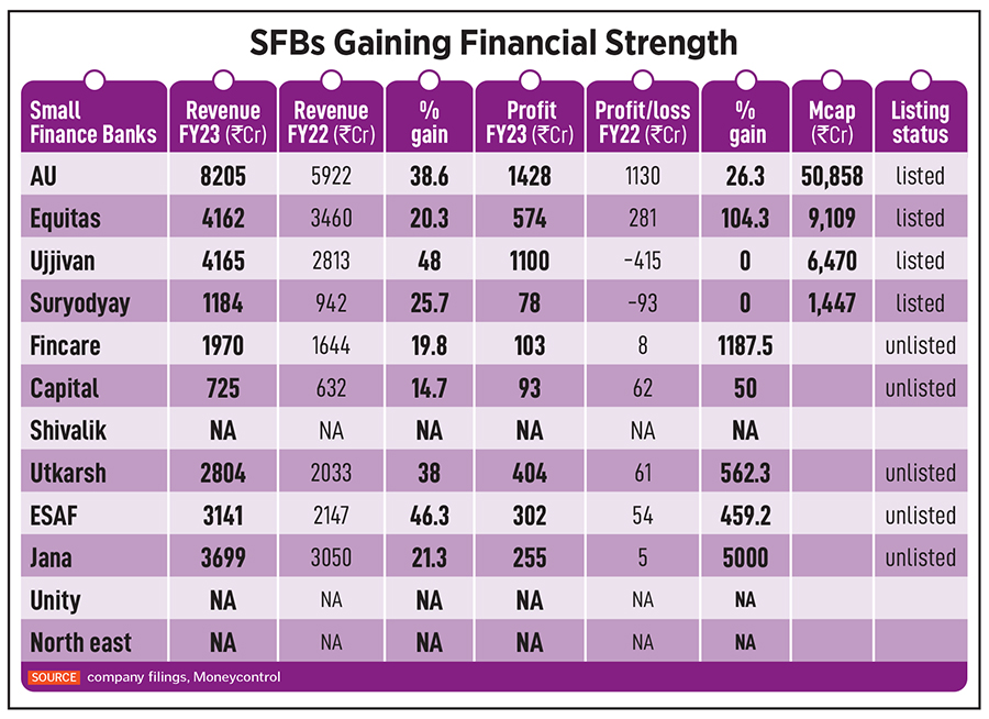 Out of the woods: How Small Finance Bank staged a smart recovery