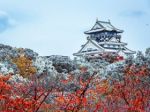 From Osaka to Quebec City: Top picks for winter travel in 2023