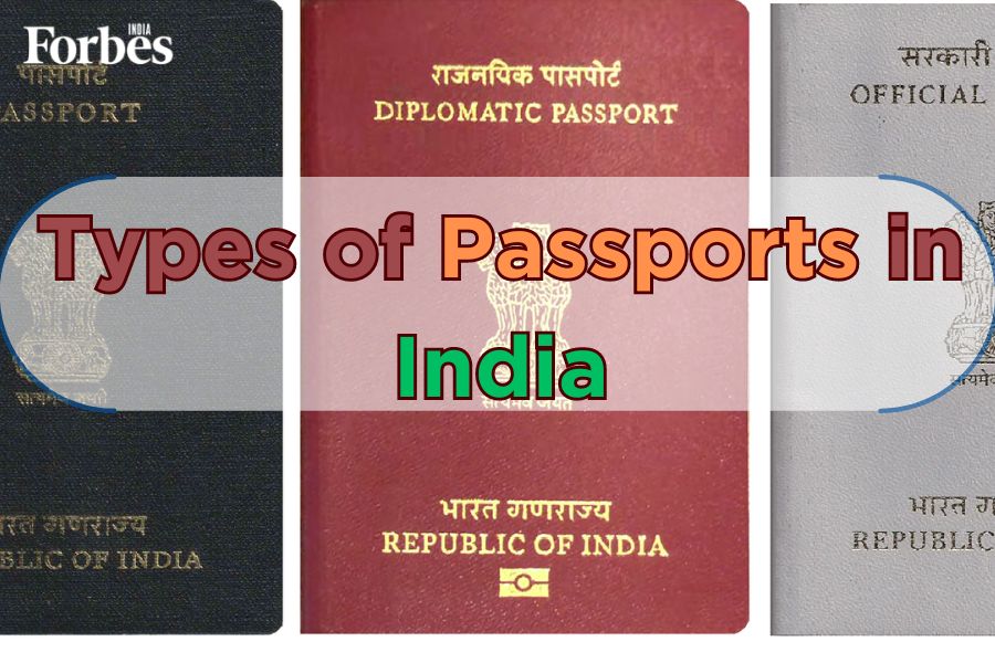 What are the different types of passports in India?