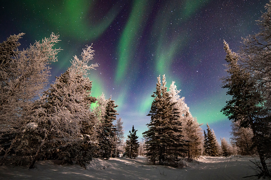 Top 5 destinations to observe Northern Lights in 2024