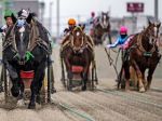 'Suspense' of slowest horse race wins new fans in Japan