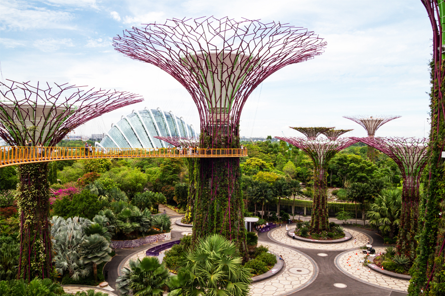 From Copenhagen to Singapore, here are top 5 most sustainable destinations to explore in 2024
