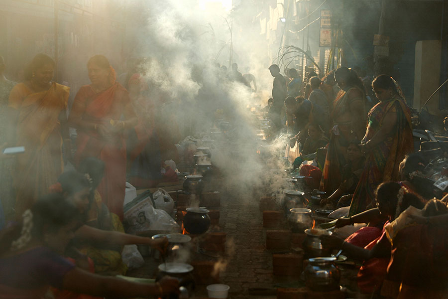 Photo of the day: Celebrating Pongal