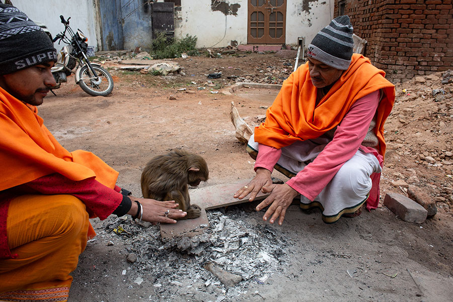 Ayodhya: An ancient city's new beginnings, in photos