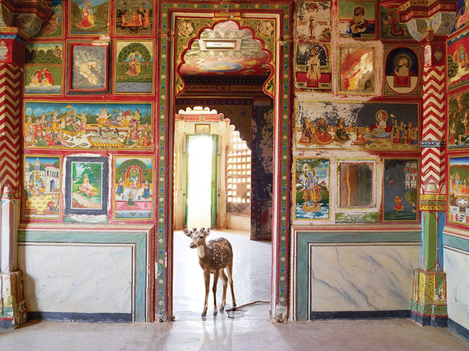 Karen Knorr captures the animal kingdom across India's iconic sites