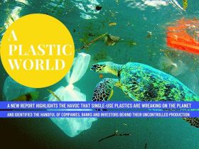 NBN_A plastic world-FINAL thumbnail