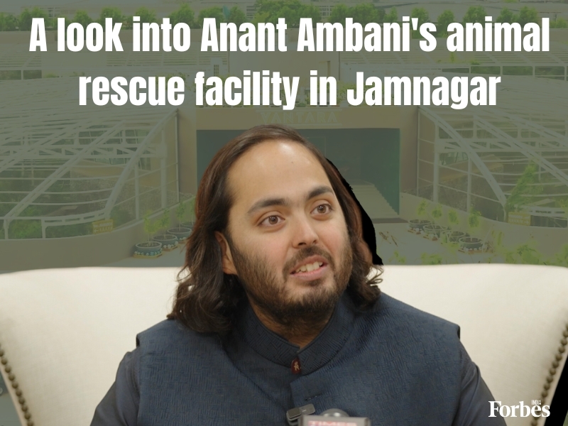 Anant Ambani Jamnagar